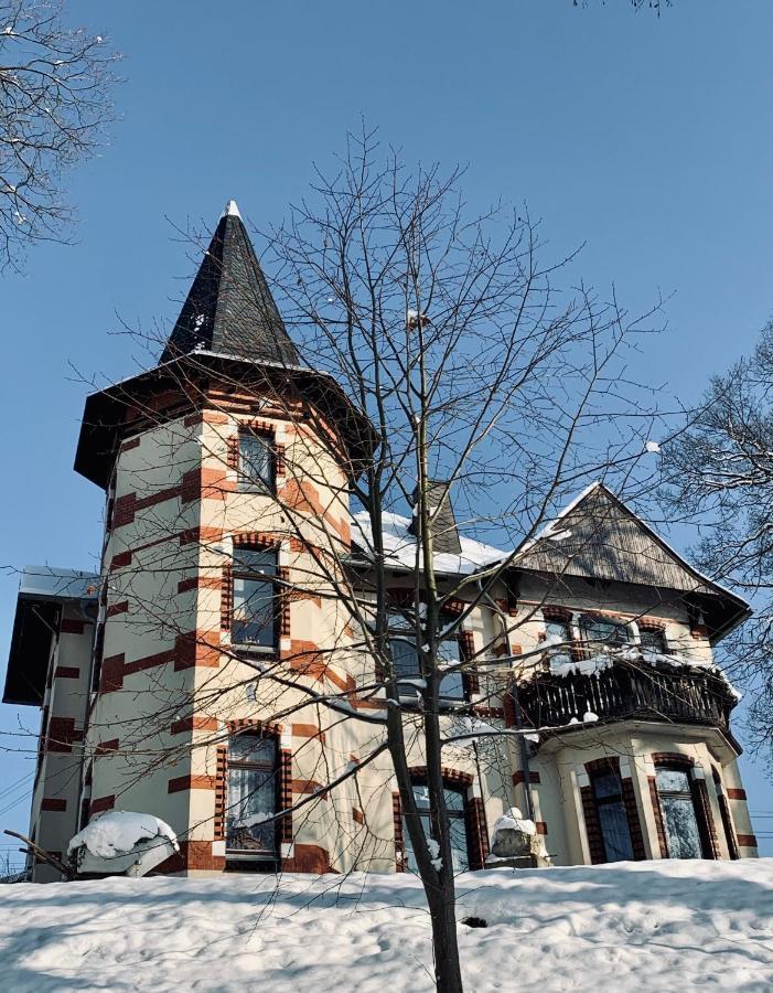 Turmvilla Vogtland Oelsnitz/Vogtl. Kültér fotó