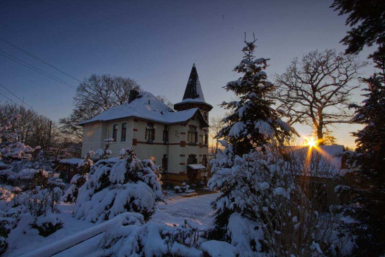 Turmvilla Vogtland Oelsnitz/Vogtl. Kültér fotó