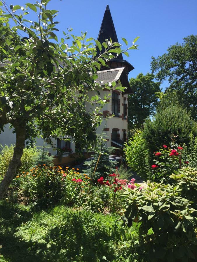Turmvilla Vogtland Oelsnitz/Vogtl. Kültér fotó