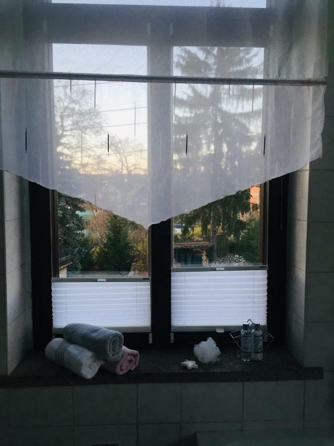 Turmvilla Vogtland Oelsnitz/Vogtl. Kültér fotó