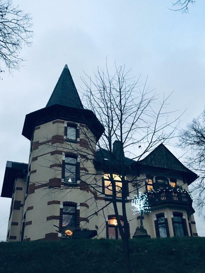 Turmvilla Vogtland Oelsnitz/Vogtl. Kültér fotó